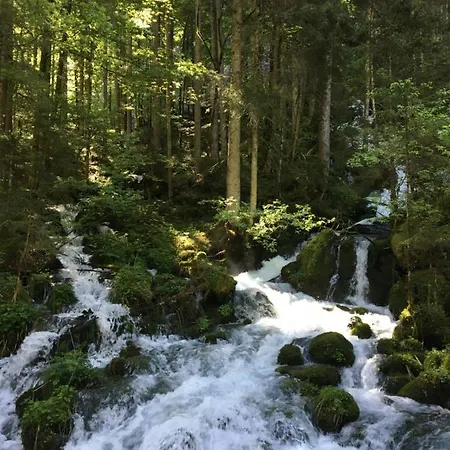 Nyaraló Badstubengrabenhutte