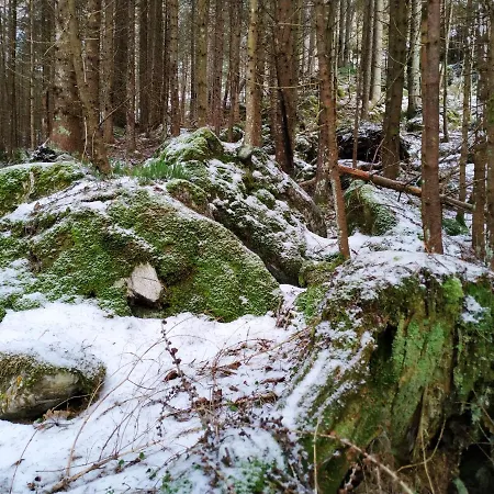 Nyaraló Badstubengrabenhutte *