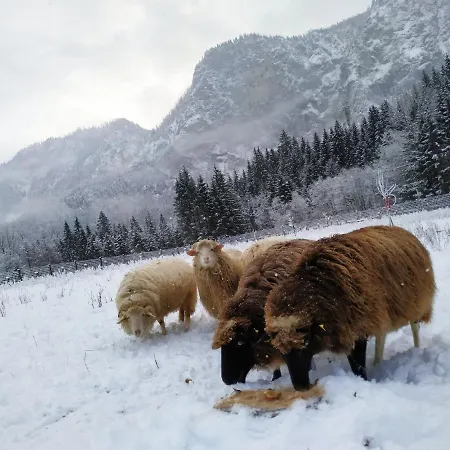 Nyaraló Badstubengrabenhutte *