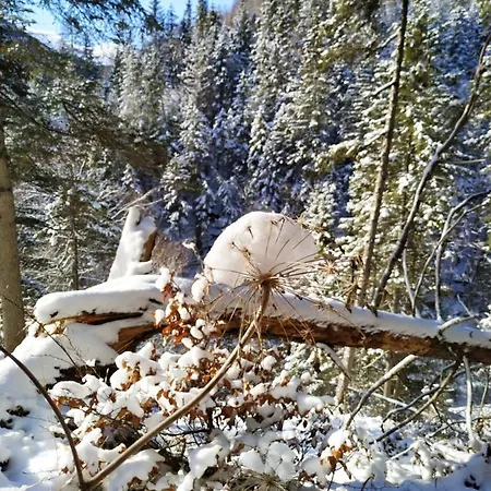 Nyaraló Badstubengrabenhutte *