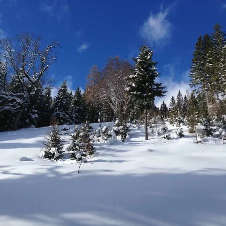 Badstubengrabenhutte * Greith (Bruck-Murzzuschlag)