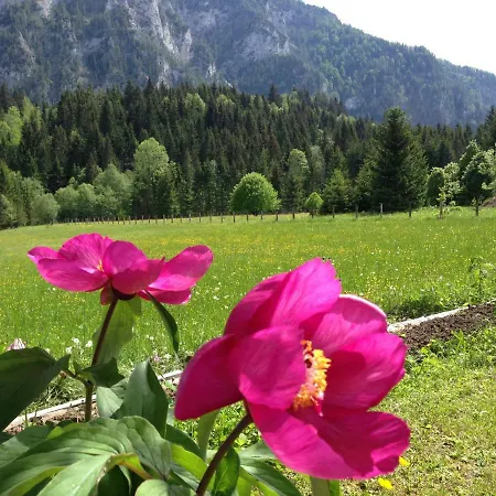 Badstubengrabenhutte * Greith (Bruck-Murzzuschlag)