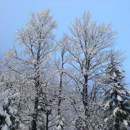 Nyaraló Badstubengrabenhutte Greith (Bruck-Murzzuschlag)