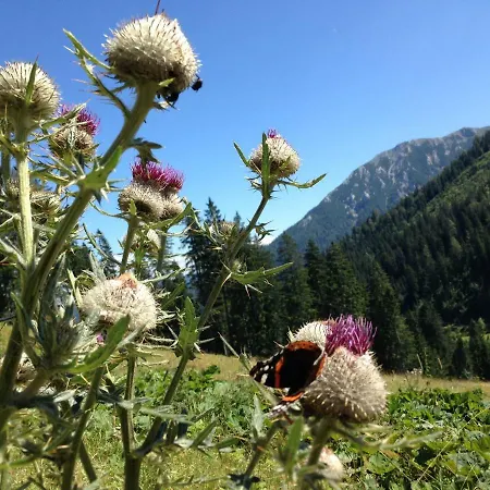 Nyaraló Badstubengrabenhutte Greith (Bruck-Murzzuschlag)